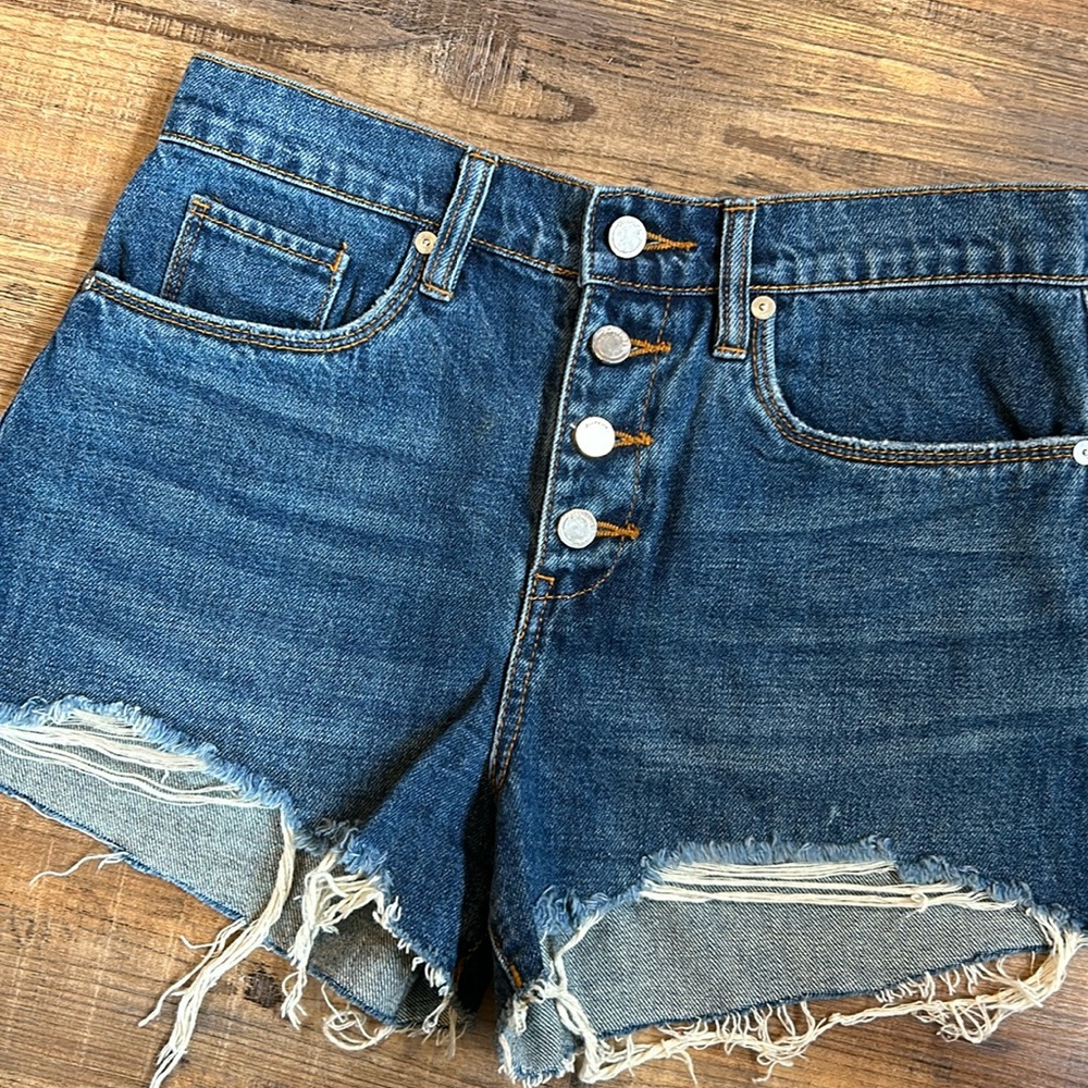 Blank NYC Denim Shorts